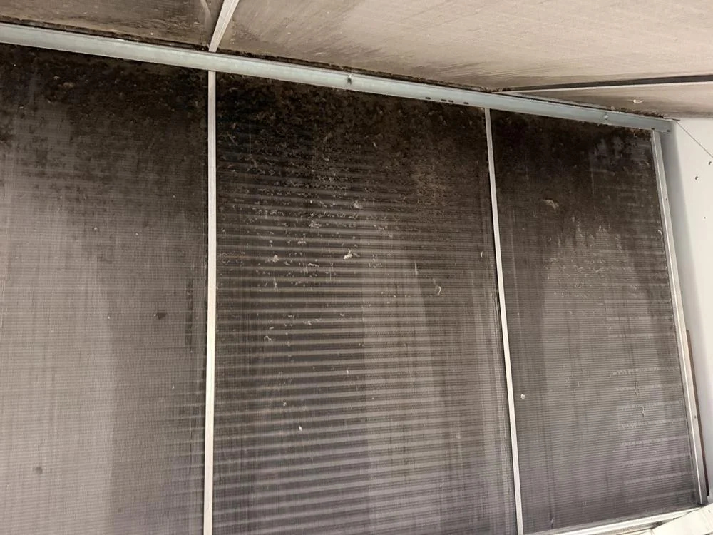 Coil face and visible surface build-up photographed inside an air handling unit during a validation survey